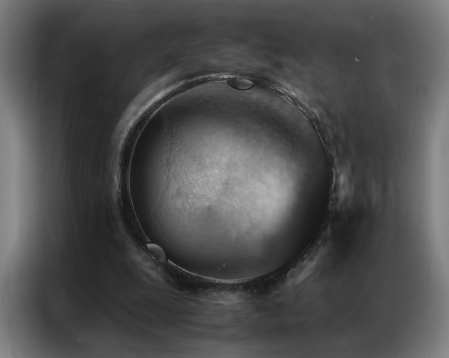 X0000087330247200704201133