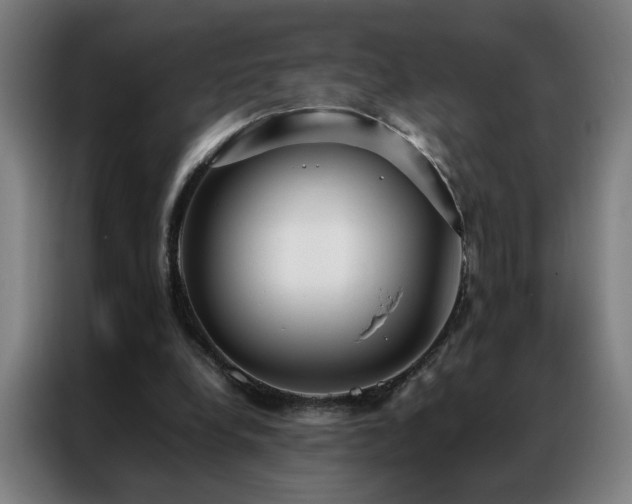 X0000087330248200704201133