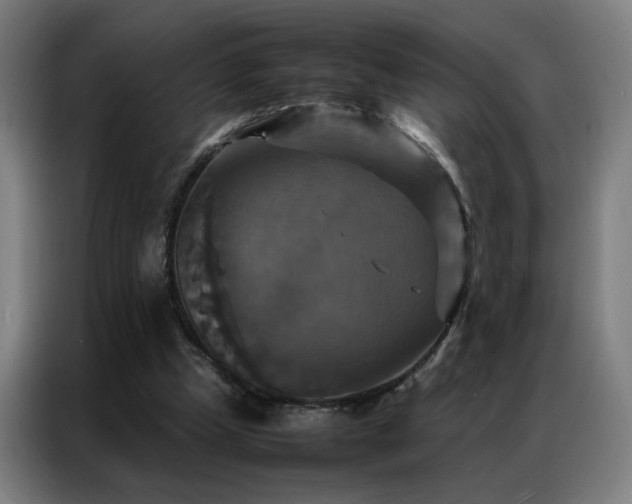 X0000087330249200704201133