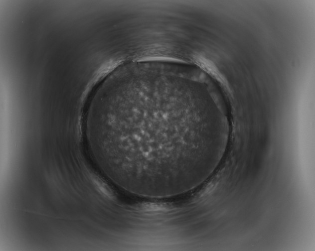X0000087330250200704201133