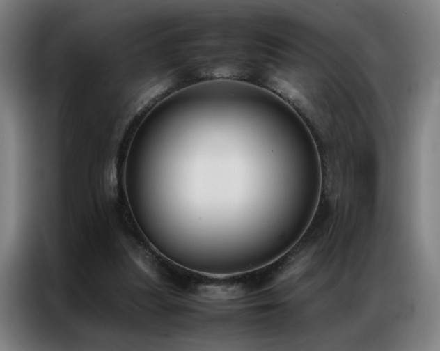 X0000087330251200704201133