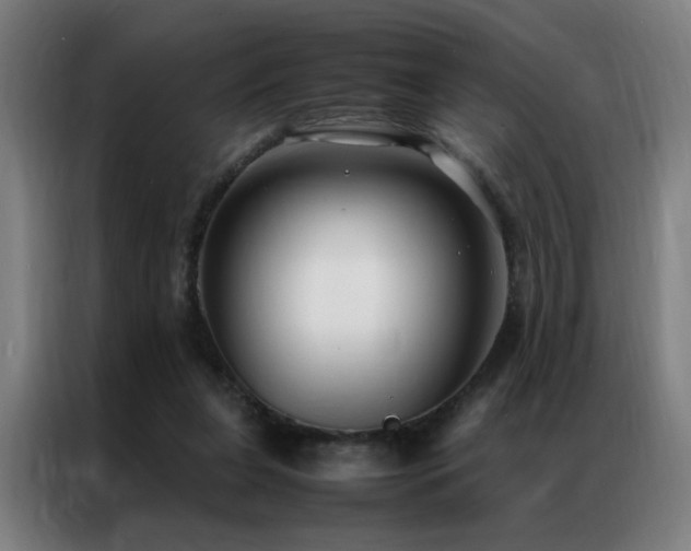 X0000087330255200704201133