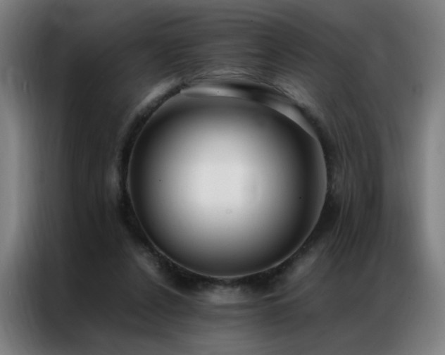 X0000087330256200704201133