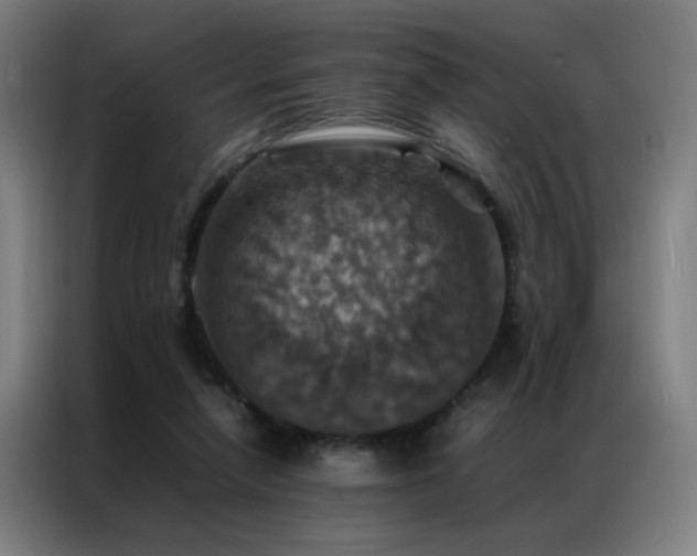 X0000087330258200704201133