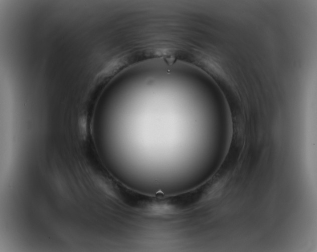 X0000087330262200704201133