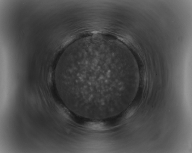 X0000087330266200704201133