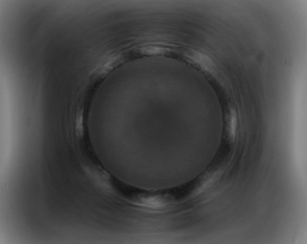 X0000087330267200704201133