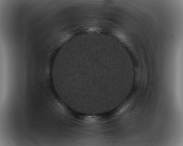 X0000087330269200704201133