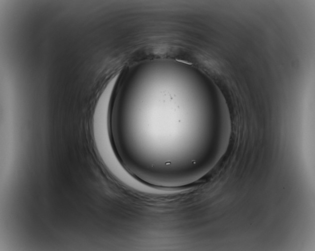 X0000087330272200704201133