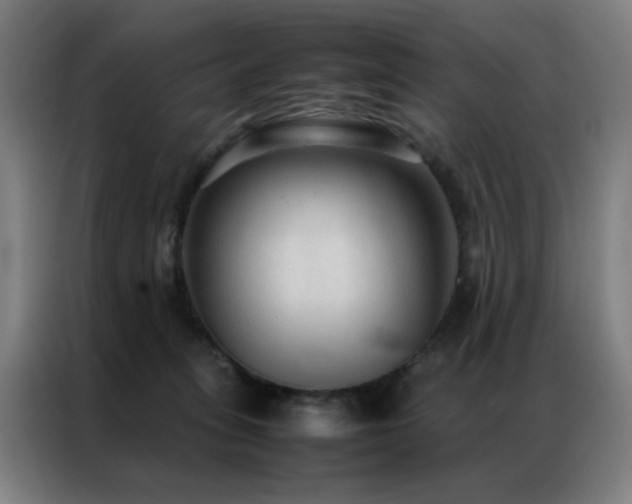X0000087330275200704201133