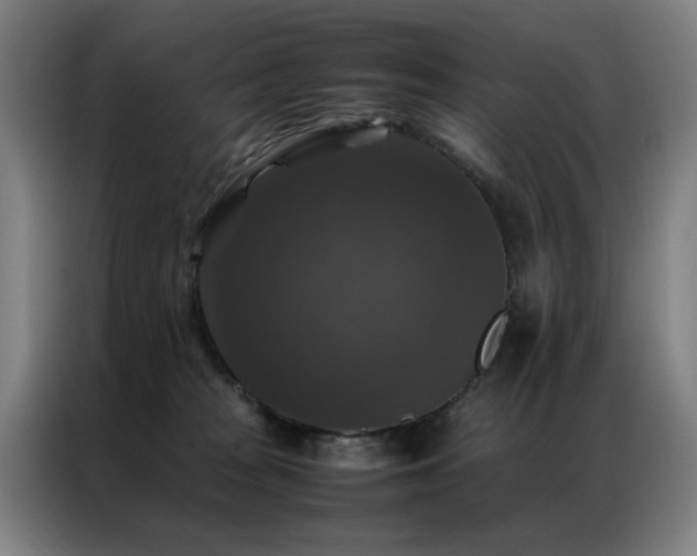 X0000087330277200704201133