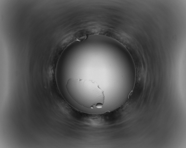 X0000087330279200704201133
