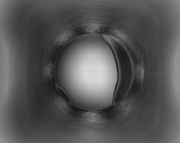 X0000087330280200704201133