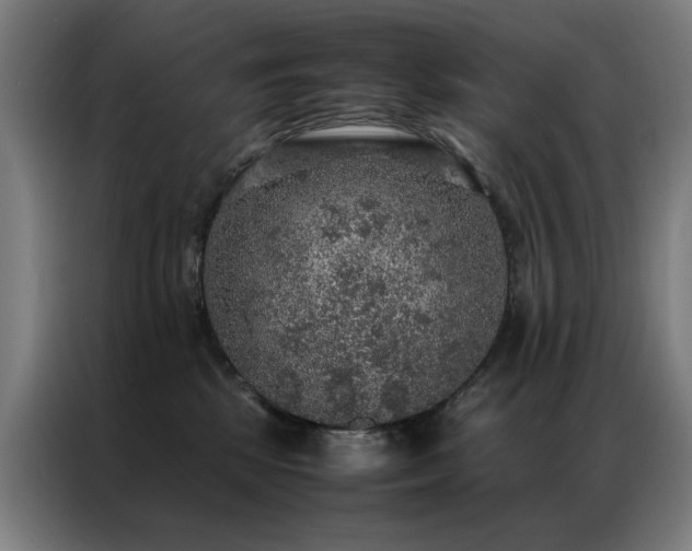 X0000087330281200704201133