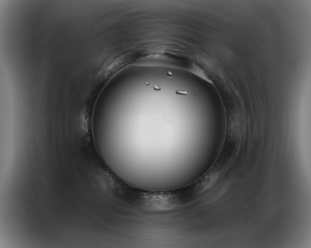 X0000087330282200704201133