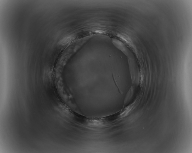 X0000087330285200704201133