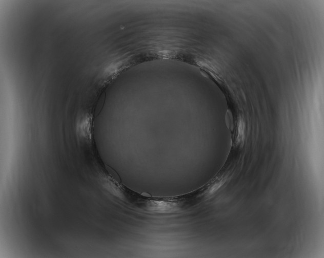 X0000087330286200704201133