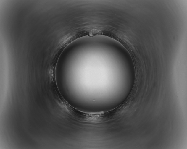 X0000087330288200704201133