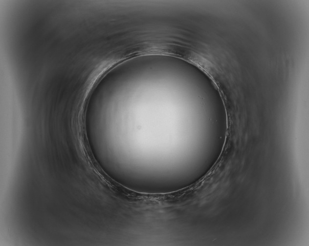 X0000087330289200704201133