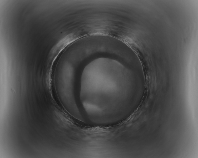 X0000087330290200704201133