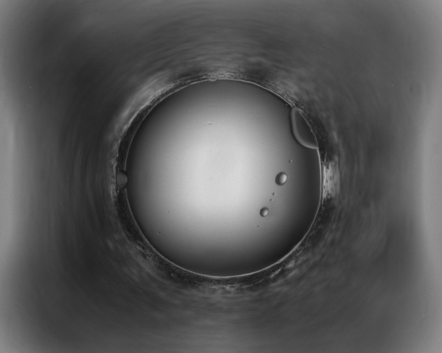 X0000087330291200704201133