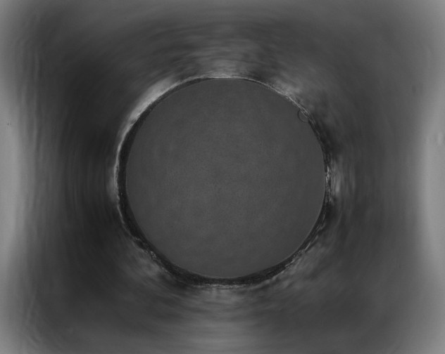 X0000087330292200704201133