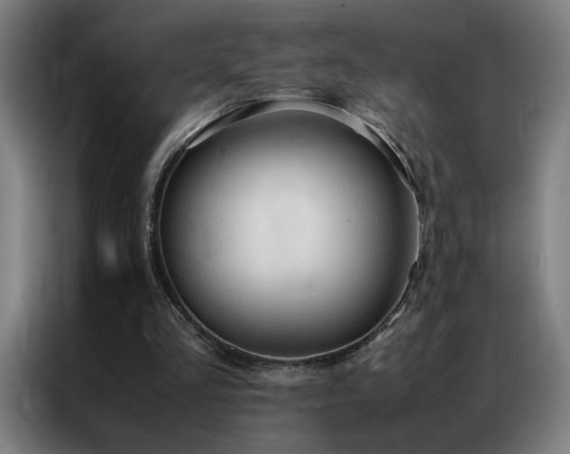 X0000087330293200704201133