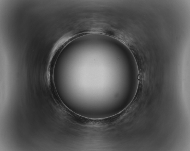 X0000087330294200704201133