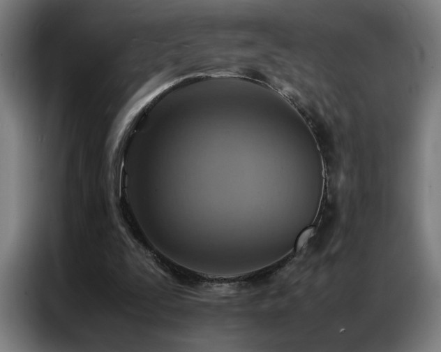 X0000087330295200704201133