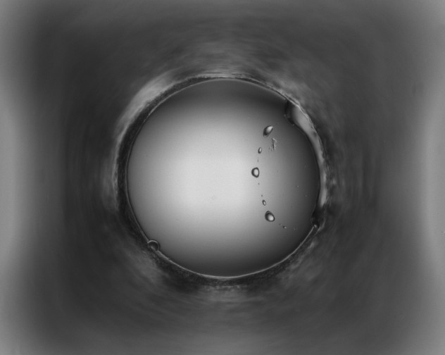 X0000087330296200704201133