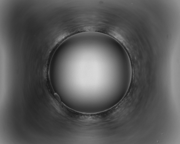 X0000087330297200704201133
