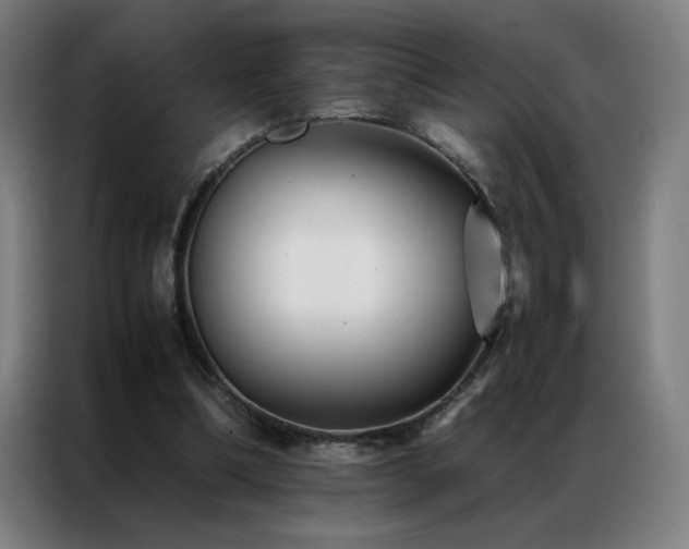 X0000087330298200704201132