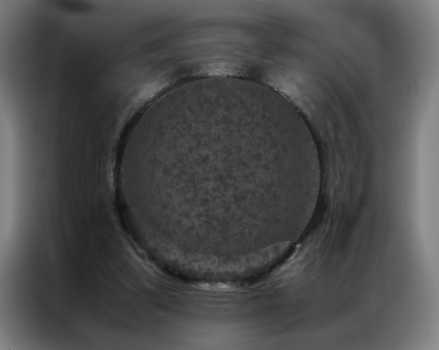 X0000087330299200704201132