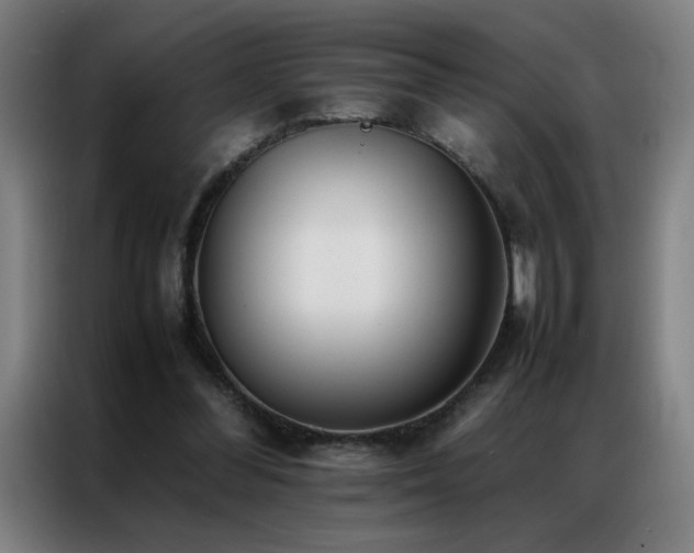 X0000087330300200704201132