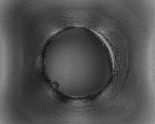 X0000087330303200704201132