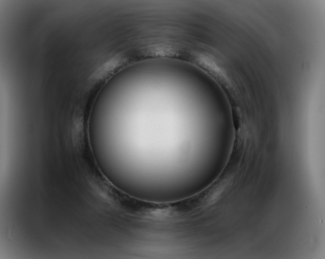 X0000087330306200704201132