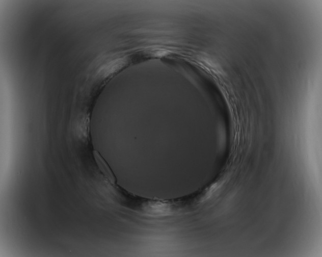 X0000087330325200704201132