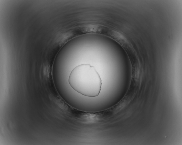 X0000087330326200704201132