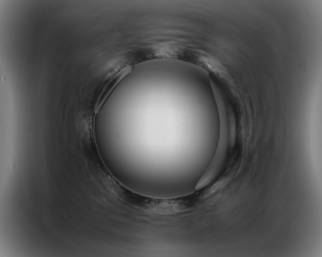 X0000087330329200704201132