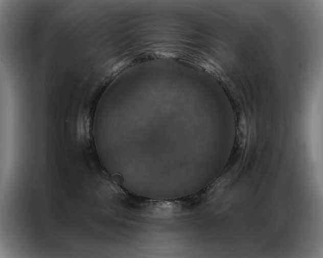 X0000087330330200704201132
