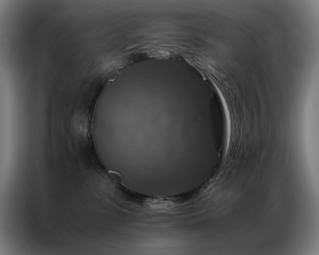 X0000087330331200704201132