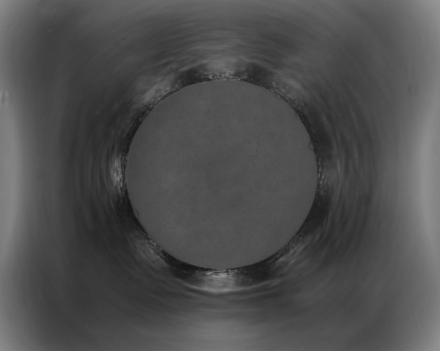 X0000087330335200704201132