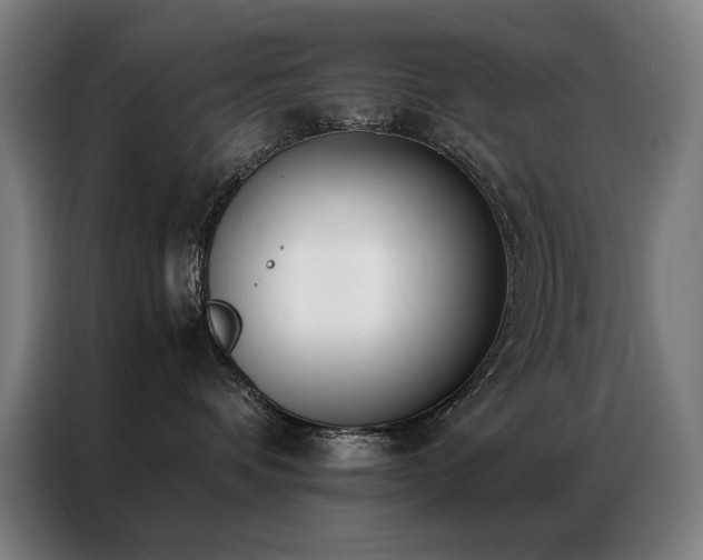 X0000087330336200704201132