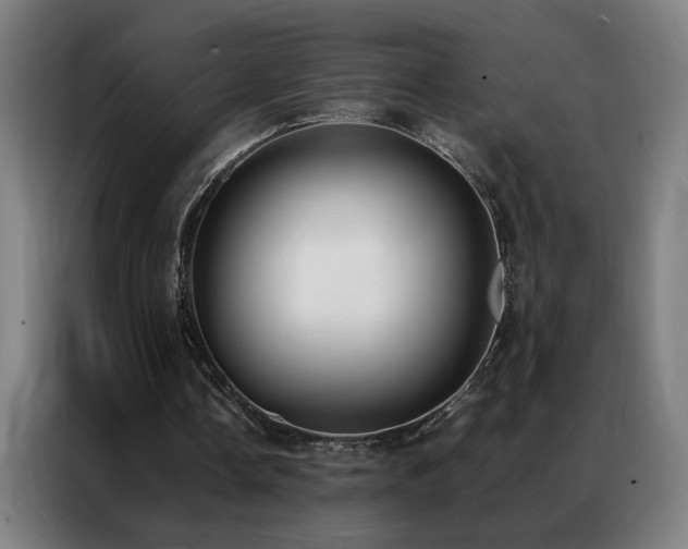 X0000087330338200704201132