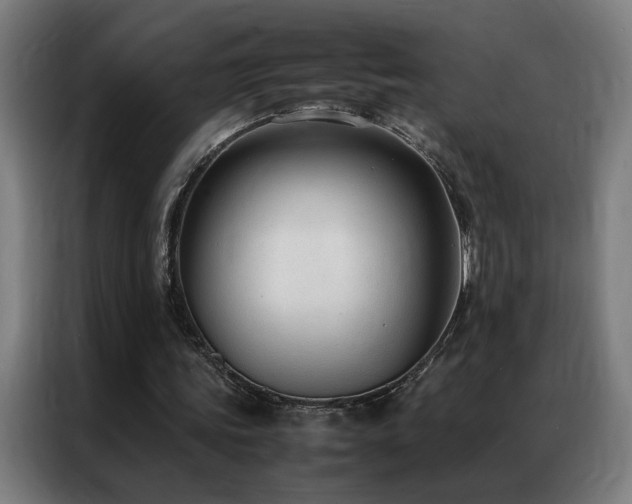 X0000087330339200704201132