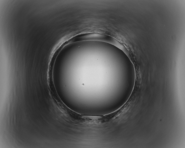 X0000087330340200704201132