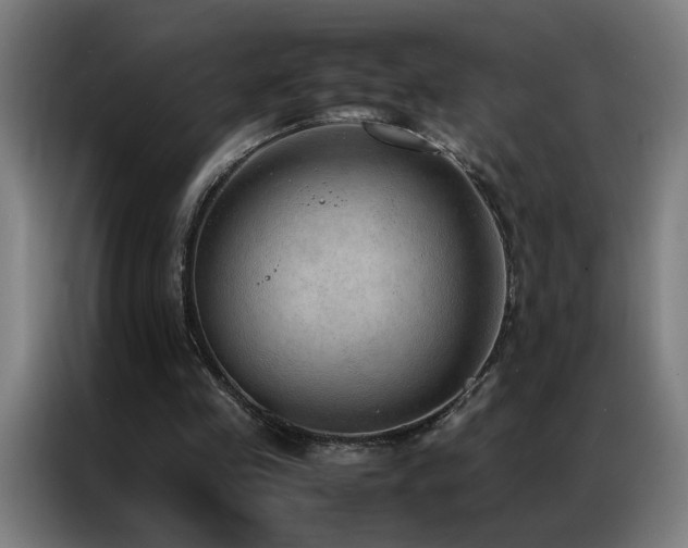 X0000087330341200704201132