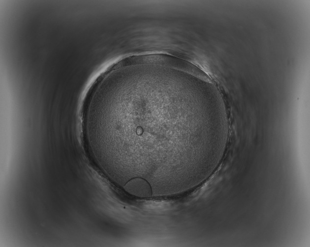 X0000087330342200704201132