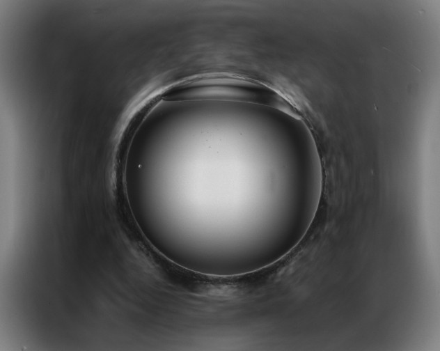 X0000087330344200704201132
