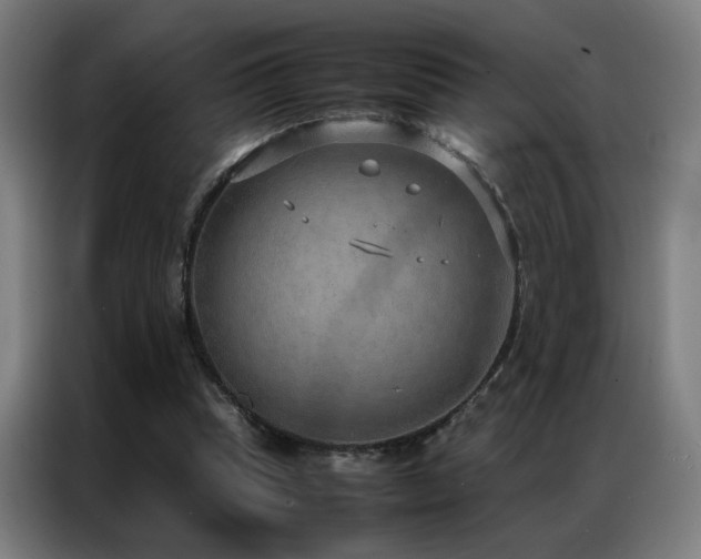 X0000087330345200704201132